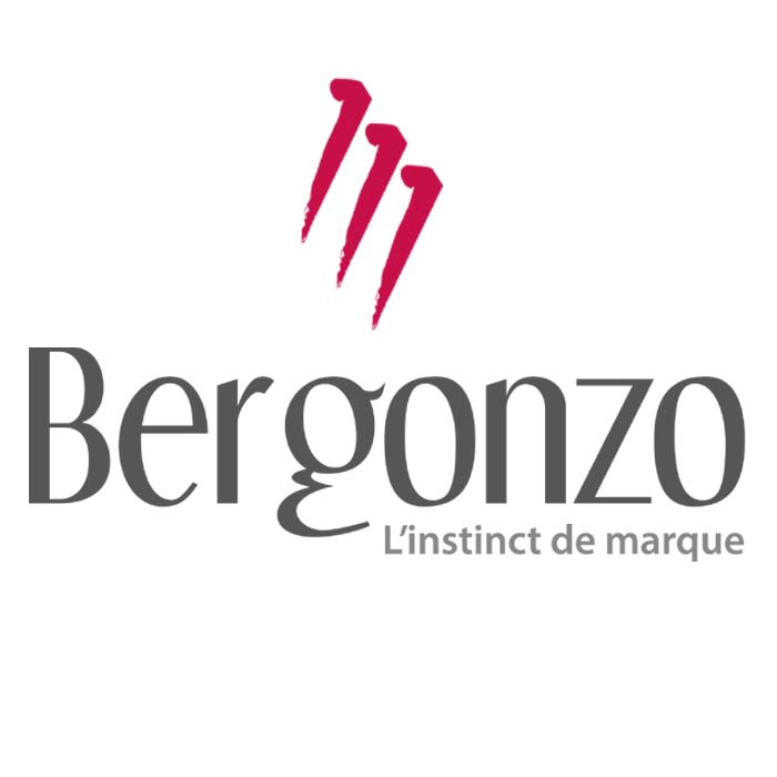 logo bergonzo Pilotehub34 Entreprise de transport spécialisée dans le montage de meubles